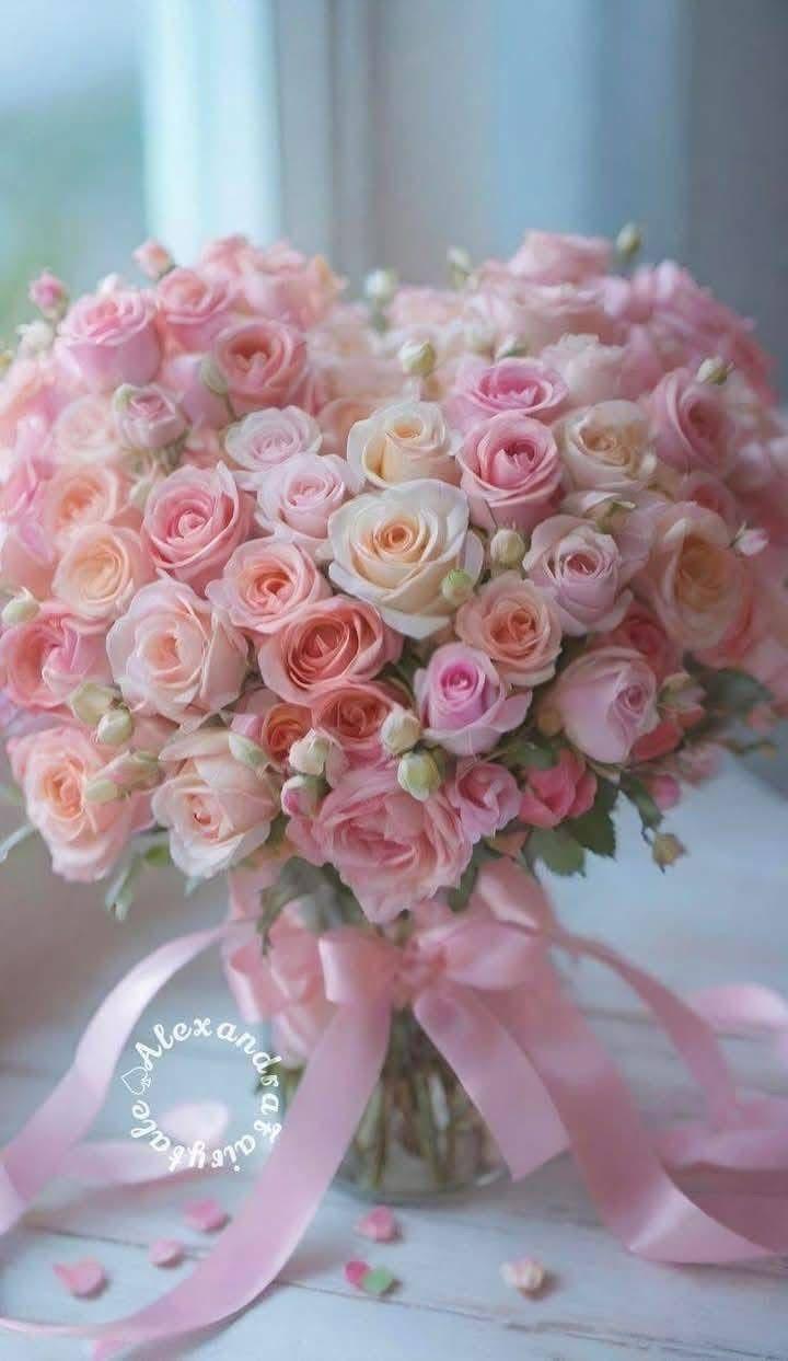 Velvet Sunrise: Warmth in Petal Array